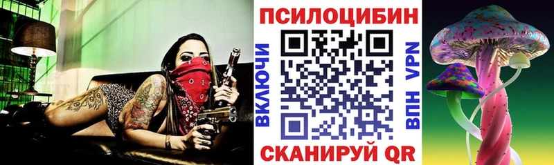 Галлюциногенные грибы Psilocybine cubensis Кондрово